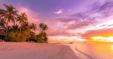 Island palm tree sea sand beach. Panoramic beach landscape. Inspire tropical beach seascape horizon. Orange and golden sunset sky calmness tranquil relaxing summer mood. Vacation travel holiday banner photo