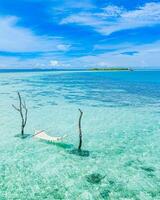 tropical isla costa como verano paisaje con columpio o hamaca y increíble calma mar laguna para playa bandera. maravilloso playa escena vacaciones y verano día festivo, lujo ánimo, aéreo playa apuntalar foto