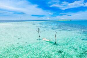 Tropical island coast as summer landscape with swing or hammock and amazing calm sea lagoon for beach banner. Wonderful beach scene vacation and summer holiday, luxury mood, aerial beach shore photo