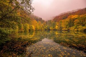hermoso, vistoso otoño lago. increíble agua reflexión, pacífico naturaleza escenario. amarillo naranja hojas, brumoso Mañana ligero. relajarse otoñal otoño naturaleza vista. brillante estacional paisaje, panorámico foto