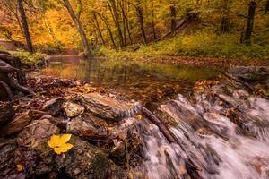 Autumn creek woodland with sunny yellow trees foliage rocks in forest mountain. Idyllic travel hiking landscape, beautiful seasonal autumn nature. Amazing dream scenic colorful outdoor inspire nature photo