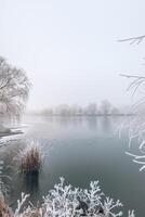 congelado lago en Nevado bosque paisaje. blanco cielo suave puesta de sol amanecer luz, idílico blanco naturaleza. invierno chalana escenario, estacional naturaleza foto