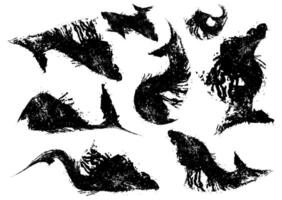 black and white dragons ink splashes, a splashes vintage texture set of stains, splashes, brush strokes splash, set of watercolor brush strokes, black and white paint stroke brush vector