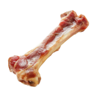 ai gerado carne cachorro osso isolado em transparente fundo png