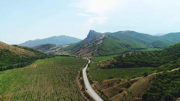 Aerial view of the road with traffic between the green farm fields and mountains covered with grass against the blue sky in sunny day. Shot. Beautiful summer landscape video