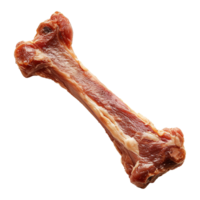 ai gerado carne cachorro osso isolado em transparente fundo png