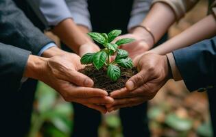 AI generated Businesspeople holding a plant in their hands, accountability image photo