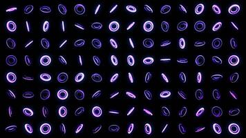 Abstract background of shimmering neon light rings on black background. Animation. Glowing and rotating set of neon rings on black background video