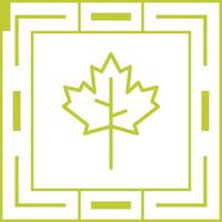 Maple leaf Vector Icon