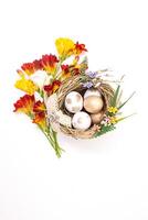 Bouquet of yellow and red flowers with nest with colored eggs on white background. Happy Easter. Vertical. Copy space photo
