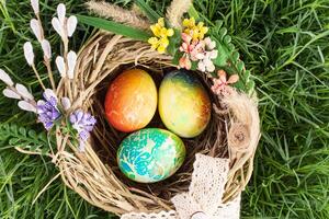 Colored eggs in nest with flowers on grass. View from above. Easter, Egg Hunt photo