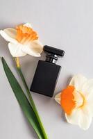 Matte black men's perfume bottle on a light vertical background with a delicate narcissus flower. Template for perfume or eau de toilette. Top view. photo