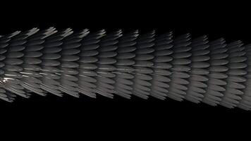 horizontal 3d tubo formado de prata penas brilhando e fluindo em Preto fundo, desatado laço. animação. abstrato grandes figura com oval em forma penas. video