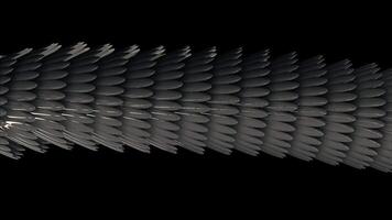 Horisonatal 3D tube formed by silver feathers glowing and flowing on black background, seamless loop. Animation. Abstract long figure with oval shaped feathers. video