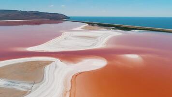 mooi antenne visie van laguna colorada of rood meer, een Ondiep zout meer in de zuidwesten van de altiplano van Bolivia. schot. Eduardo avaroa andean fauna nationaal reserveren video