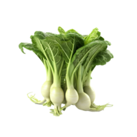 AI generated Vegetable png isolated on transparent background