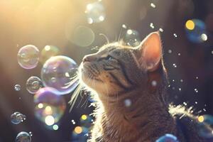 AI generated Cat surrounded by soap bubbles. Kitten playing with soap bubbles. Generative AI photo
