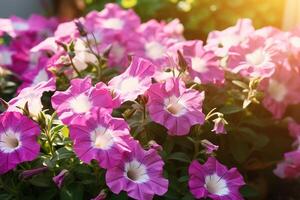 AI generated Outdoor Flower Background photo