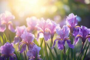 AI generated Outdoor Flower Background photo