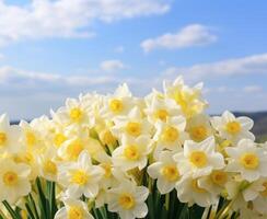 AI generated Outdoor Flowers with Text Space photo
