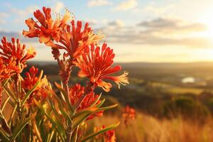 AI generated Outdoor Flowers with Text Space photo