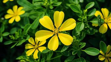 AI generated vibrant yellow wildflower in close up surrounded by green photo