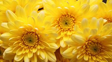 AI generated vibrant yellow petals of a chrysanthemum in a close up photo