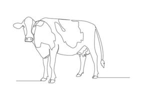 Cow in continuous line art drawing style. Beef single line. Household animals line art vector illustration.