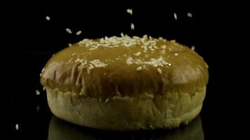 Close up of white sesame seeds falling down to the fresh burger bun isolated on black background, food and preparation concept. Stock footage. Many sesame seeds, asian cuisine. video