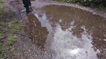 Wanderer Beine im schwarz Turnschuhe Gehen im das Pfütze mit transparent Wasser und produzieren Wasser Spritzer. Lager Filmaufnahme. schließen oben von ein Mann Gehen im das Wald Pfütze. video