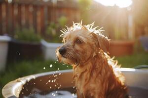 AI generated Dog taking a bath in the backyard. Generative AI photo