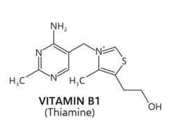 Vitamin B1 formula, thiamine chemical structure vector