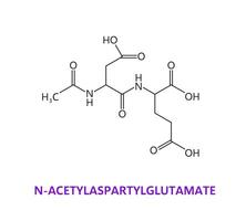 Neurotransmitter N-acetylaspartylglutamate peptide vector