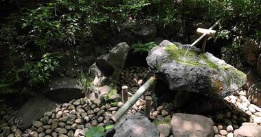 een Japans bamboe water fontein shishi-odoshi in zen tuin video