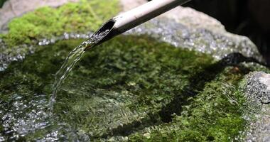 A Japanese Bamboo Water Fountain Shishi-Odoshi in Zen Garden close up video