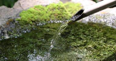 en japansk bambu vatten fontän shishi-odoshi i zen trädgård stänga upp video