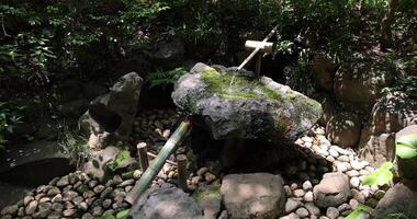 een Japans bamboe water fontein shishi-odoshi in zen tuin video