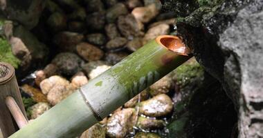 een Japans bamboe water fontein shishi-odoshi in zen tuin dichtbij omhoog video