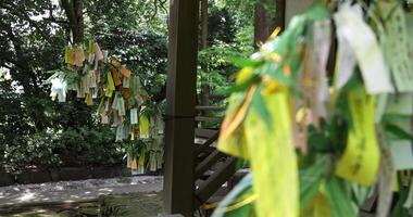 een papier fortuin Aan de bamboe bladeren in zomer dag tijd video