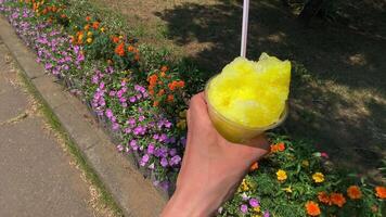 A shaved ice of lemon syrup with left hand behind the flower garden sunny day close up video