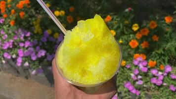 A shaved ice of lemon syrup with left hand behind the flower garden sunny day close up video