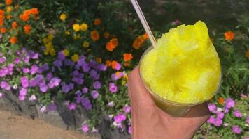 ein rasiert Eis von Zitrone Sirup mit links Hand hinter das Blume Garten sonnig Tag schließen oben video