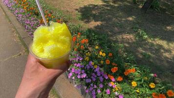 ein rasiert Eis von Zitrone Sirup mit links Hand hinter das Blume Garten sonnig Tag schließen oben video