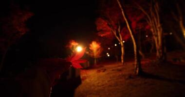 An illuminated red leaves with hand at the forest in Kyoto in autumn at night video