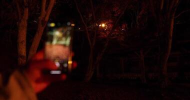 un' primo piano smartphone tiro illuminato rosso le foglie a il parco nel kyoto a notte video