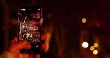 A smartphone shooting illuminated red leaves at the park in autumn at night focusing video