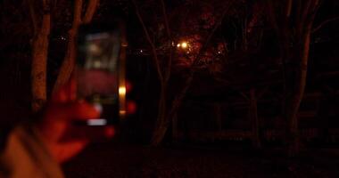 un' primo piano smartphone tiro illuminato rosso le foglie a il parco nel kyoto a notte video