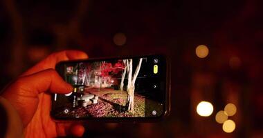 A smartphone shooting illuminated red leaves at the park in autumn at night focusing video