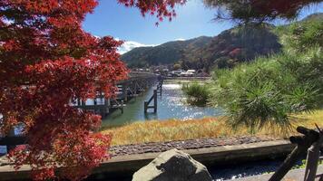 togetsukyo brug in de buurt katsuragawa rivier- in Kyoto in herfst video