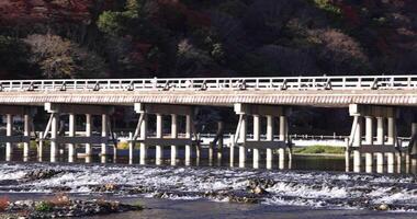 togetsukyo ponte perto katsuragawa rio dentro Quioto dentro outono telefoto tiro panning video